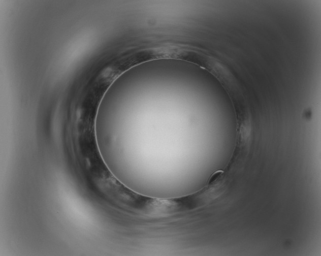 X0000114140429200910151614