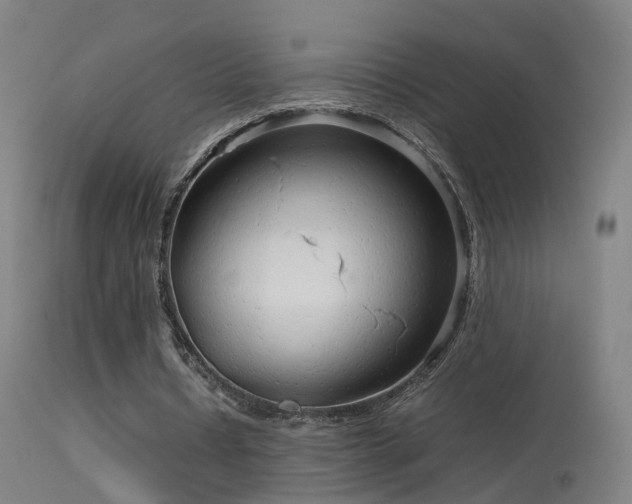 X0000114140434200910151613