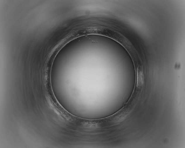 X0000114140435200910151613