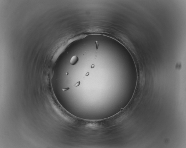 X0000114140441200910151613