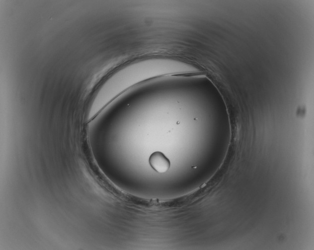 X0000114140444200910151613