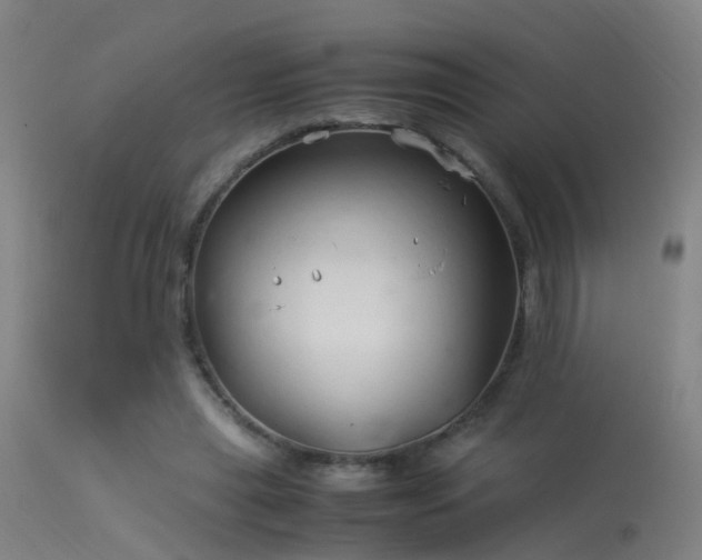 X0000114140445200910151613