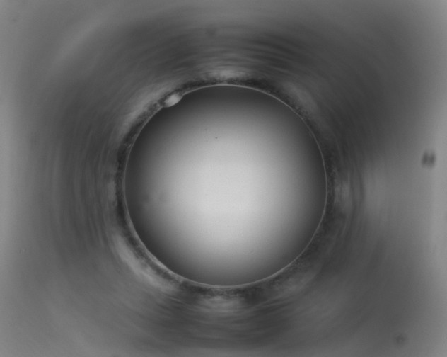 X0000114140447200910151613