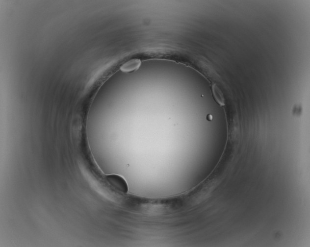 X0000114140448200910151613