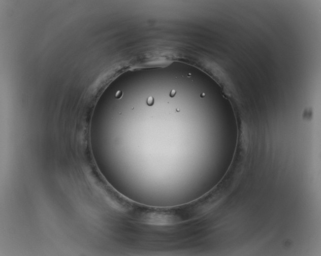 X0000114140449200910151613