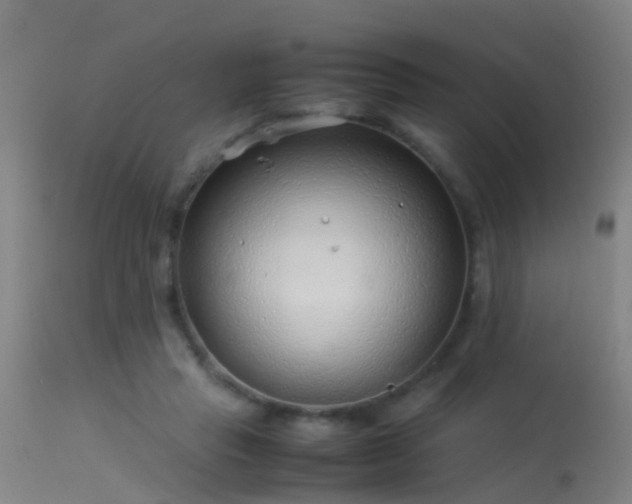 X0000114140453200910151613