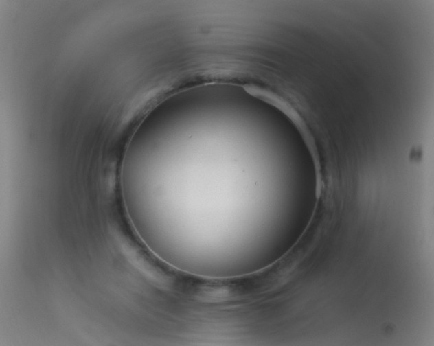 X0000114140454200910151613