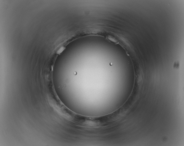 X0000114140455200910151613