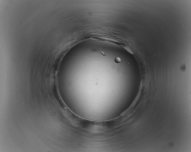 X0000114140466200910151613