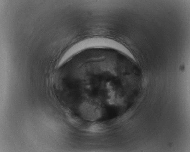 X0000114140471200910151613