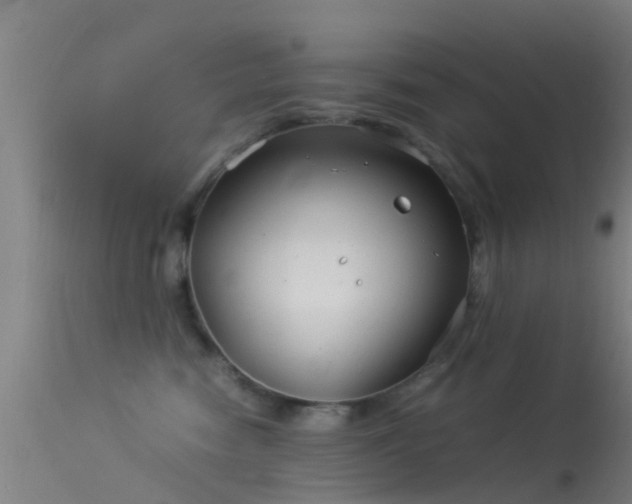 X0000114140474200910151614