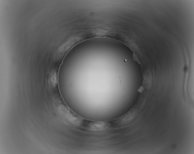 X0000114140479200910151614