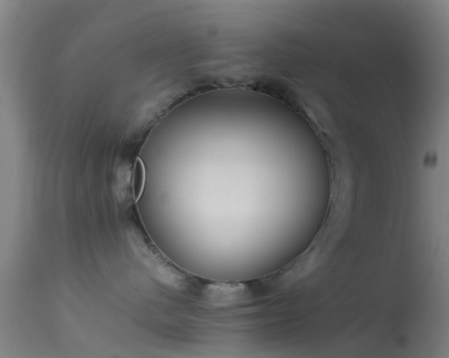 X0000114140480200910151614