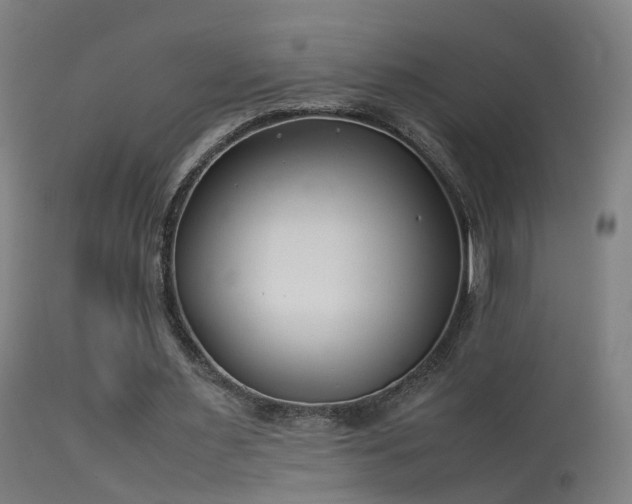 X0000114140483200910151613