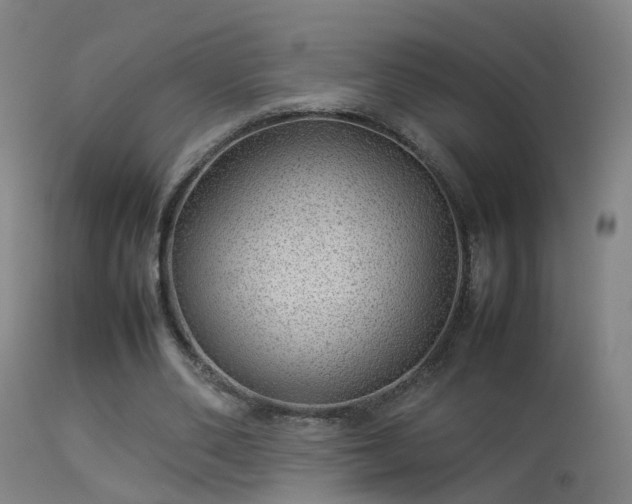 X0000114140486200910151613