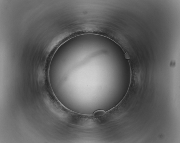 X0000114140488200910151613