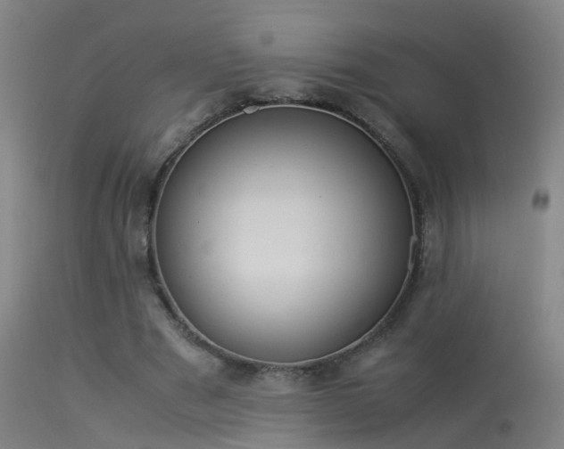 X0000114140489200910151613