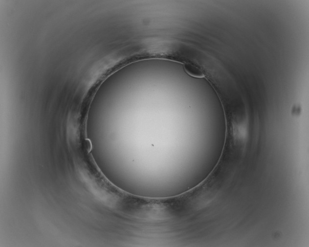 X0000114140492200910151613