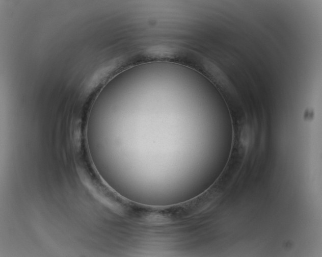 X0000114140494200910151613