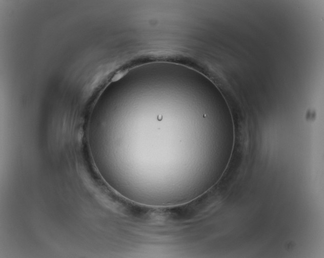 X0000114140495200910151613