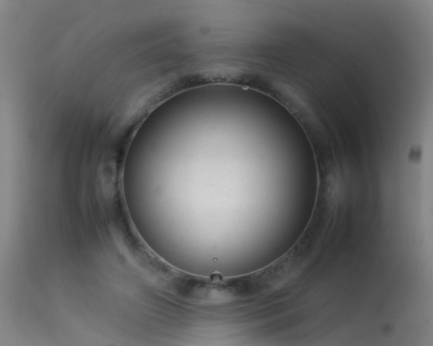 X0000114140498200910151613