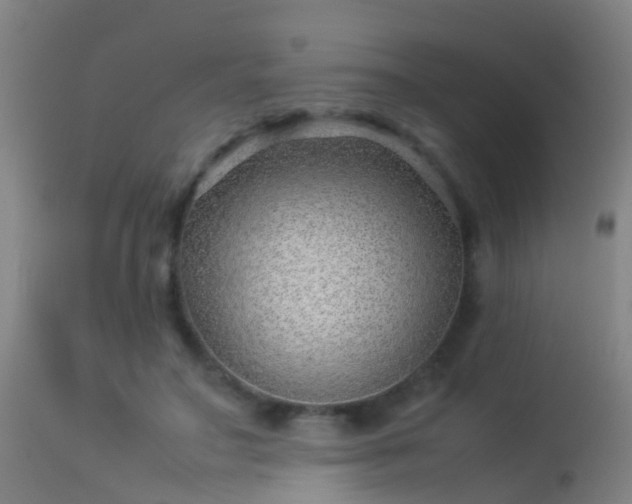 X0000114140499200910151613