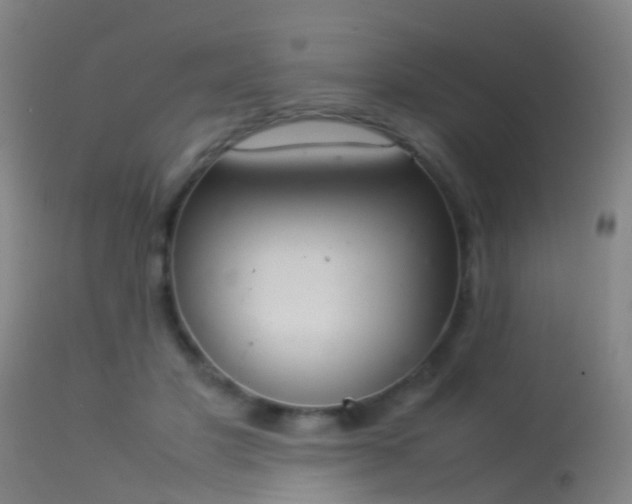 X0000114140501200910151613