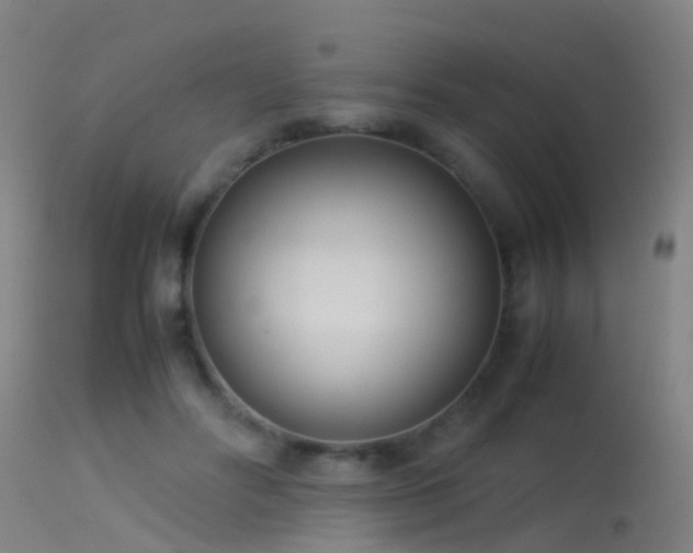 X0000114140502200910151613