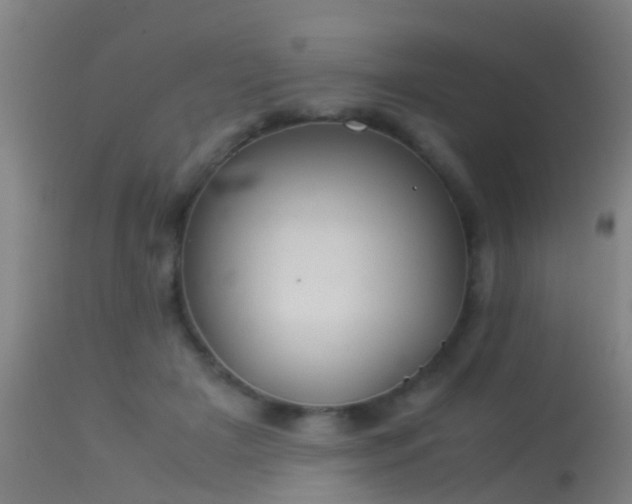 X0000114140505200910151612