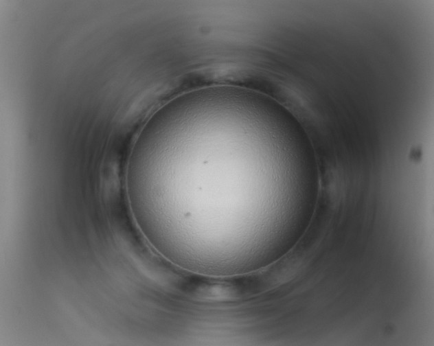 X0000114140506200910151612