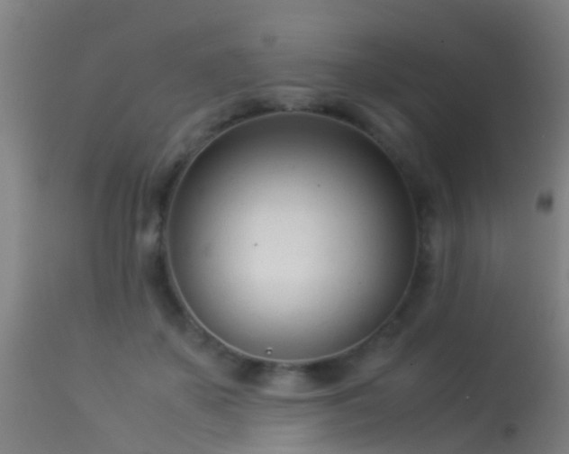 X0000114140507200910151612