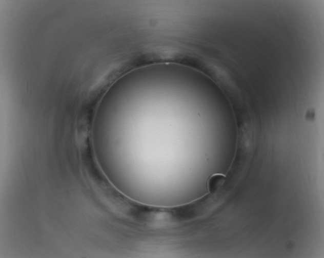 X0000114140509200910151612