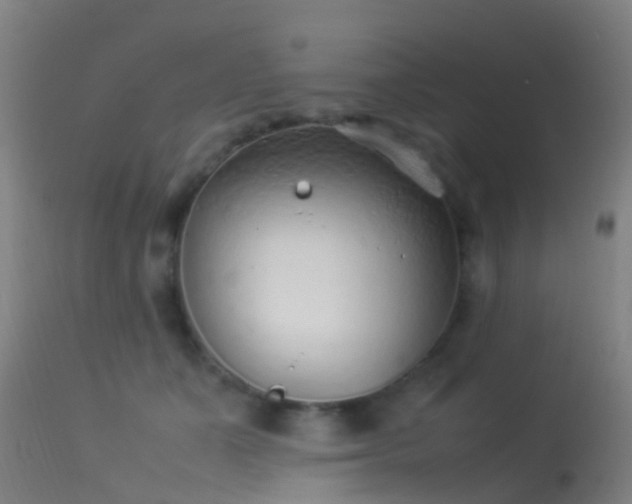 X0000114140511200910151612