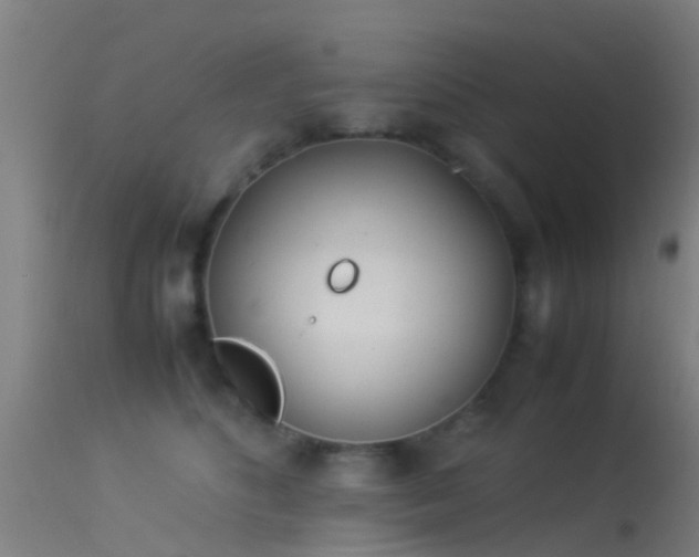 X0000114140516200910151612