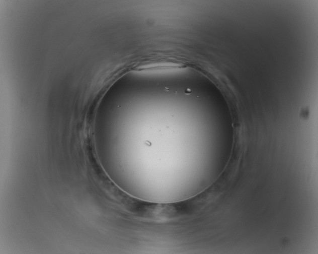 X0000114140517200910151612