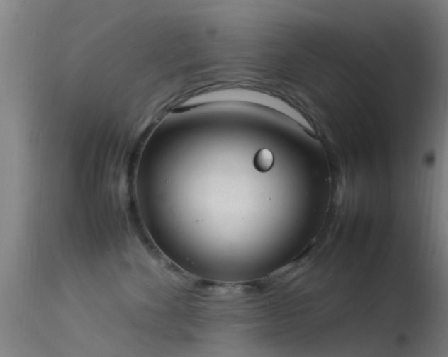 X0000114140524200910151612