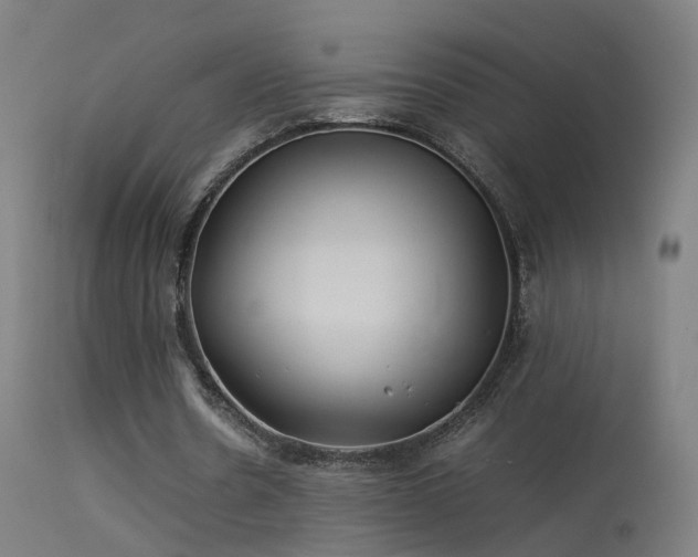 X0000114140530200910151611