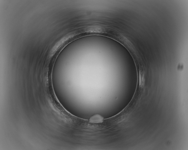 X0000114140531200910151611