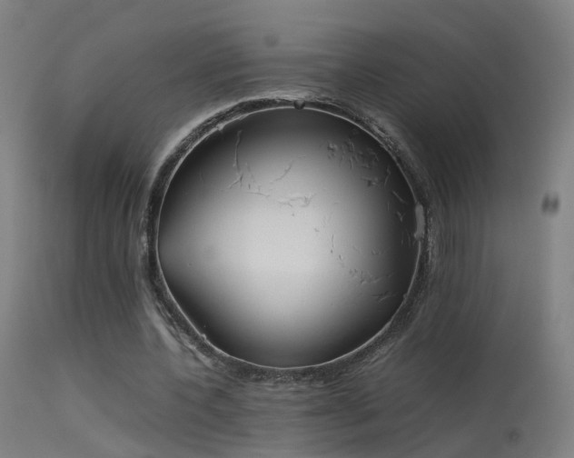 X0000114140532200910151611