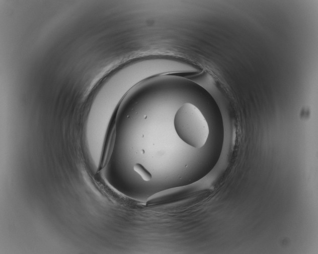 X0000114140534200910151611