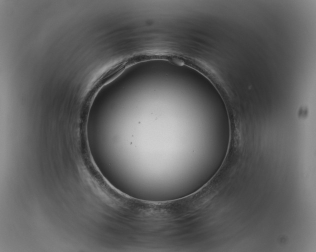 X0000114140535200910151611