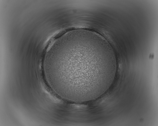 X0000114140539200910151612