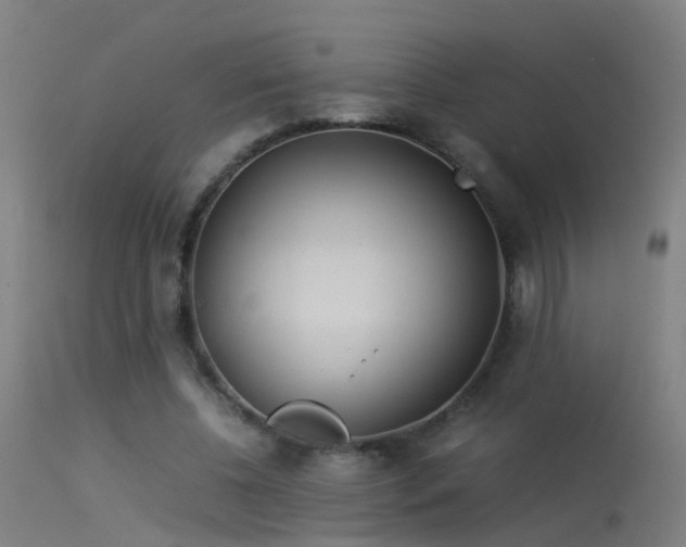 X0000114140540200910151612