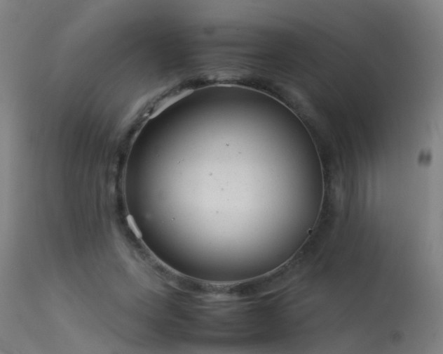 X0000114140543200910151612