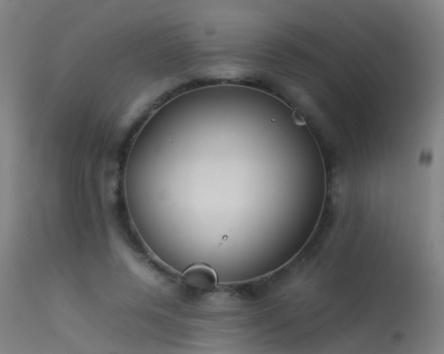 X0000114140544200910151612