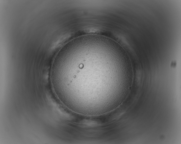 X0000114140545200910151612