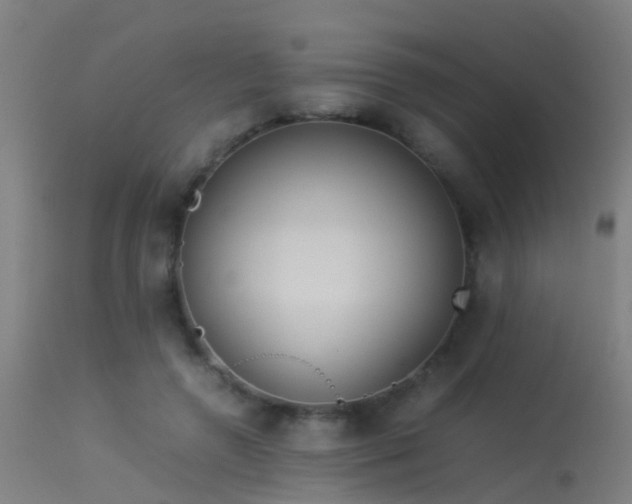 X0000114140546200910151612