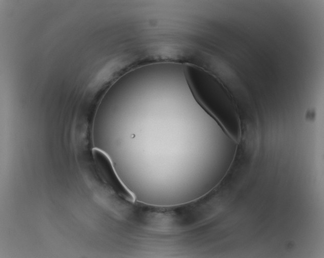 X0000114140548200910151612