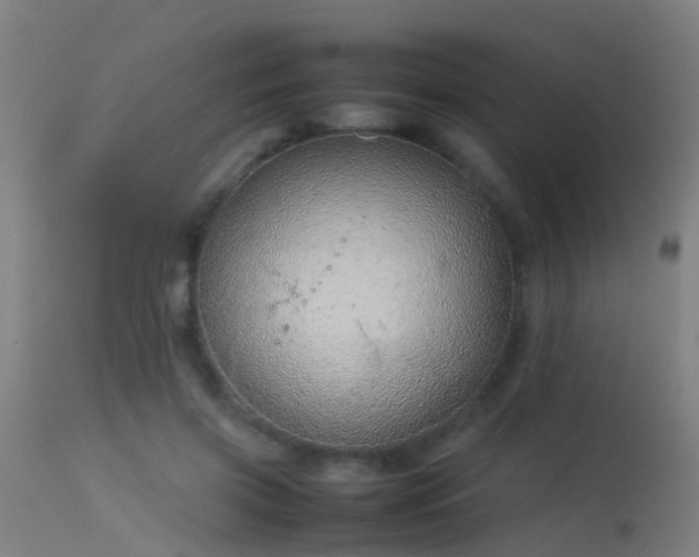 X0000114140549200910151612