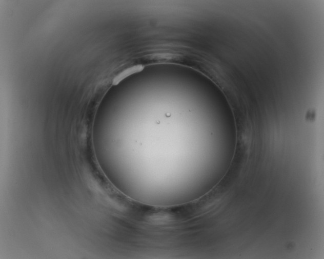 X0000114140551200910151612